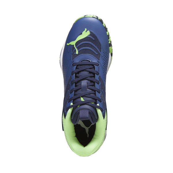 Puma Solar Attack