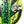 BABOLAT - Counter Vertuo 2023 - Shop Online | Padelgear.co.za